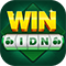 winidngame9.com favicon